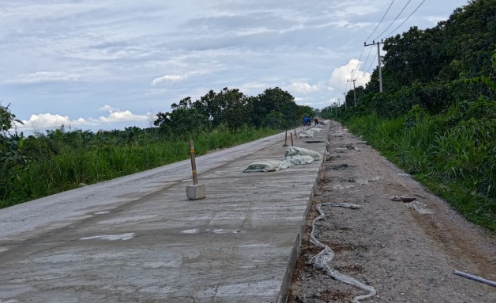 Ilusrasi jalan poros hulu Kukar.